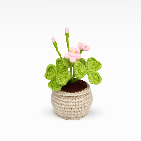 Clover Pot, Medium
