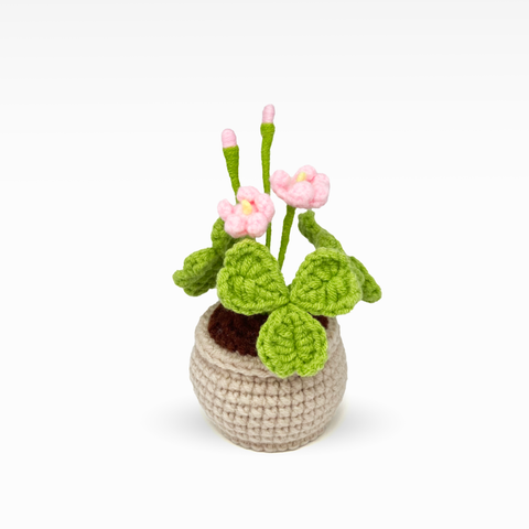 Clover Pot, Medium