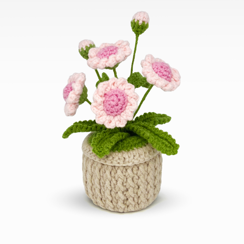 Daisy Pot, Large