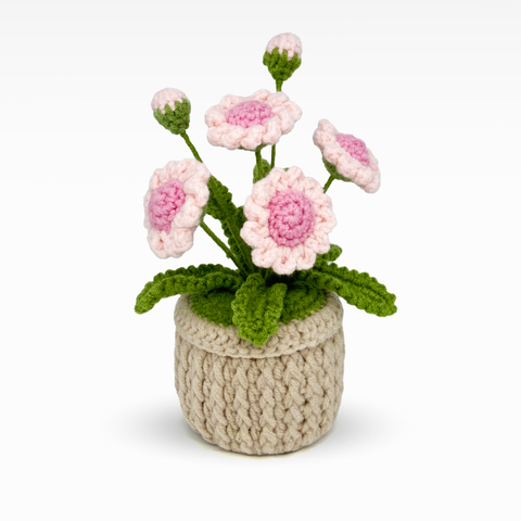 Daisy Pot, Large