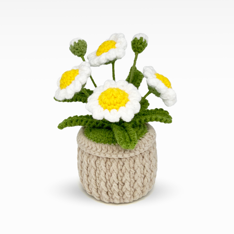 Daisy Pot, Large