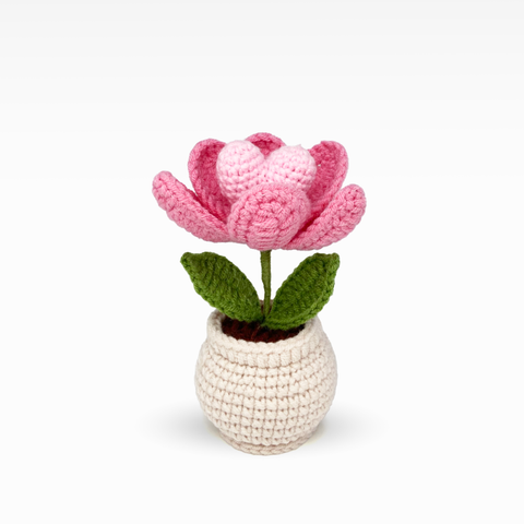 Heart Tulip Pot, Medium