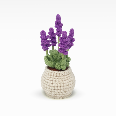 Lavender Pot, Medium