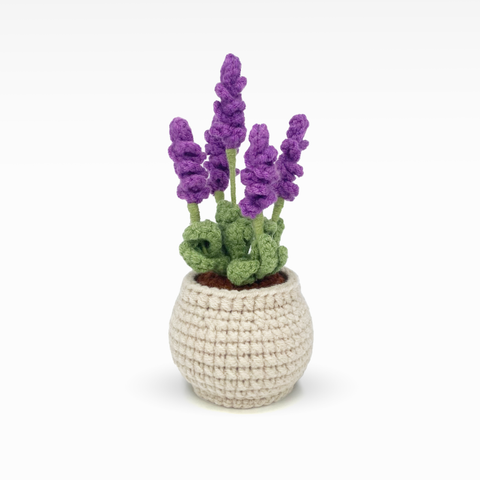 Lavender Pot, Medium