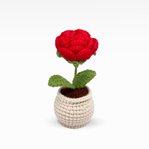 Rose Pot, Medium