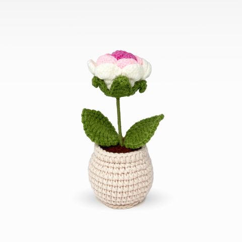 Rose Pot, Medium