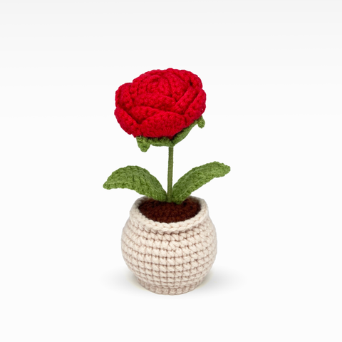 Rose Pot, Medium