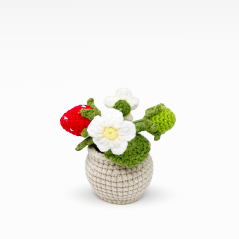 Strawberry Pot, Medium