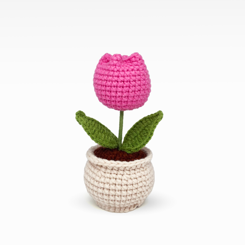 Tulip Pot, Medium