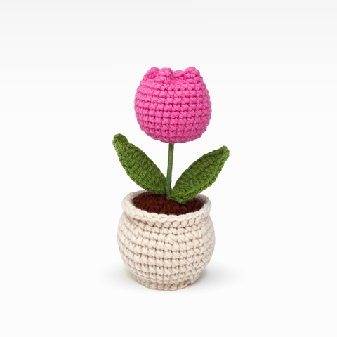 Tulip Pot, Medium