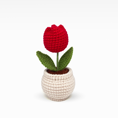 Tulip Pot, Medium